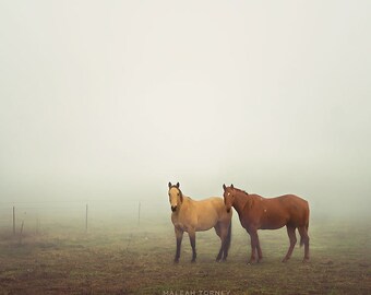 馬の写真、馬の写真、馬のアート、田舎の農場の装飾、動物の写真、緑と白、茶色