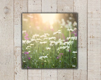 Daisy Flowers, Large Canvas Wall Art, Country Nature Photography, Daisies Picture, Girls Room Wall Decor, Sweet Peas, Pink & Green, Canvas