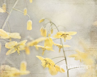 Yellow Flowers Photography, Yellow & Grey Wall Art, Spring Decor, Pictures of Flowers, Yellow Art, Yellow Flower Print
