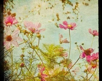 Meadow of Flowers Photography, boho baby nursery print, summer country chic, vintage home decor photo, colorful, bright wall art - 8x8