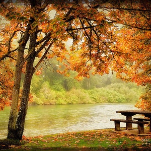 Tree Landscape Photo, river bank, fall tree leaves print, woodland, autumn photography, orange, red, green