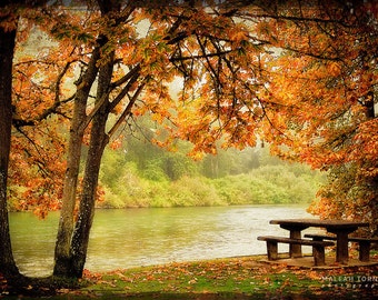 Tree Landscape Photo, river bank, fall tree leaves print, woodland, autumn photography, orange, red, green