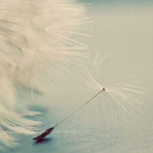 Dandelion Photo, Wall Decor, Nature Photography, Macro Print, Make A Wish, Nursery Wall Art, Dandelion Art, Dreamy, Blue & White Picture