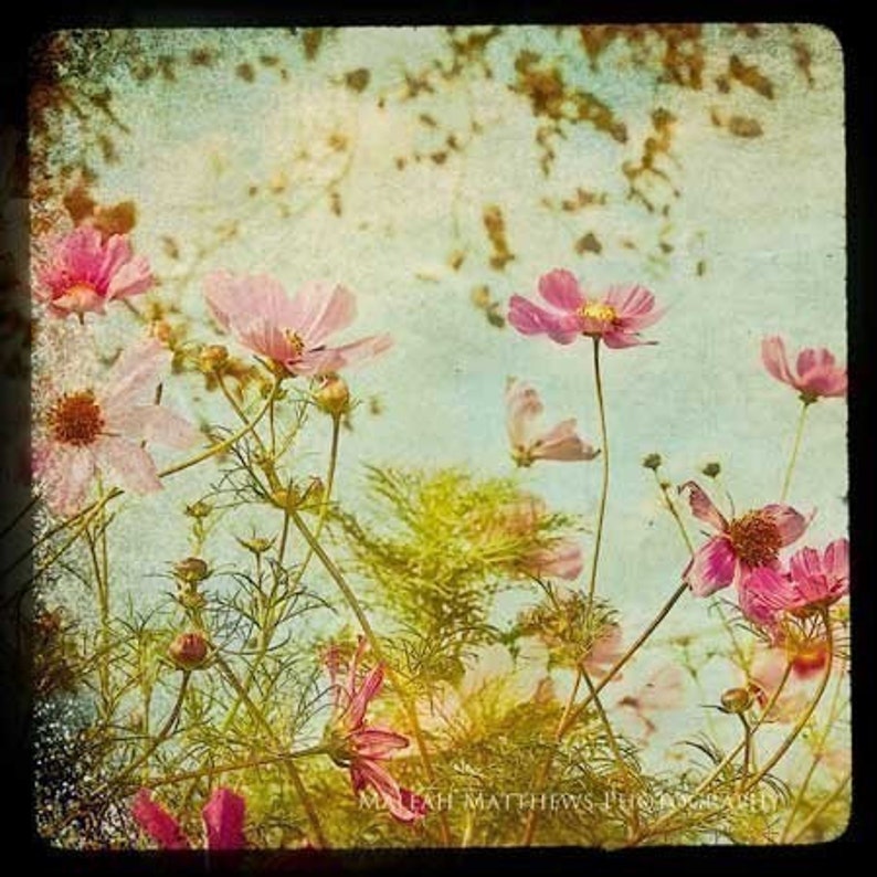 girl baby nursery prints Nature Photo Set pastel 8x8/'s flowers /& dandelions