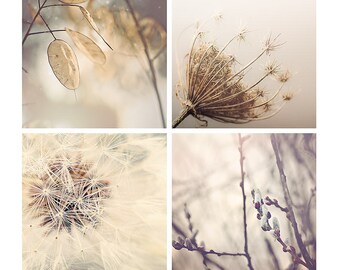 Neutral Nature Photography Set, dandelions, pussy willows, woodland decor, neutral, brown, gray, photo set - 4x4, 5x5, 8x8, 10x10, 12x12