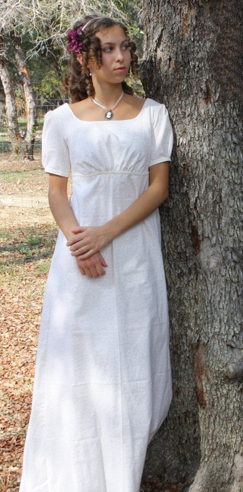 jane austen dresses plus size