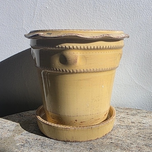 May include: A yellow ceramic flower pot with a matching saucer. The pot has a scalloped rim and a decorative band around the middle. The pot is approximately 8 inches tall and 9 inches wide.
