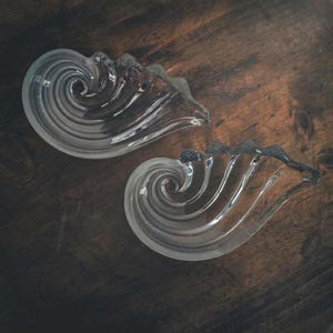 May include: Two clear glass dishes shaped like nautilus shells, each featuring a prominent spiral center and a series of raised, curved ridges radiating outward toward a scalloped edge, creating a translucent and reflective appearance.