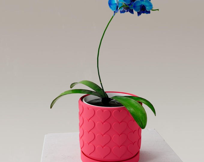 Featured listing image: Heart-shaped plant pot with drainage and saucer | 3D-printed flower pot | Mother's Day gift | Various sizes and colors