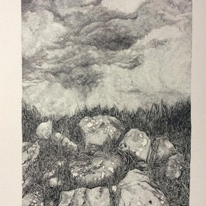 STAMPA di un mio disegno a china di alcune rocce ed erba su un cielo grigio nuvoloso. Irlanda.