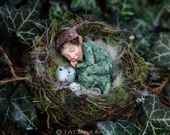 Muñeca en miniatura, niño pixie, nido, tamaño de casa de muñecas 1:12, por Tatjana Raum, muñeca de arte, hecha a mano, escultura