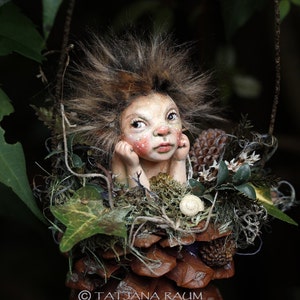May include: A whimsical fairy figurine with a detailed face, nestled in a bed of moss, leaves, and pinecones. The fairy has a light complexion, rosy cheeks, and brown hair. The figurine is surrounded by greenery, creating a naturalistic setting.