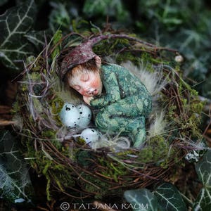 Miniature doll, pixie boy, nest, 1:12 dollhouse size, by Tatjana Raum, art doll, handmade, sculpture