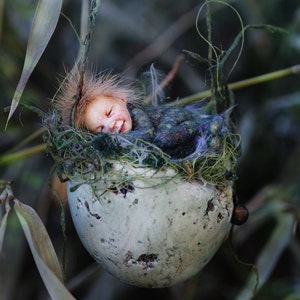 Könnte beinhalten: Eine Miniatur-Feenpuppe schläft friedlich in einem Nest aus Moos und Zweigen, eingebettet in eine zerbrochene Eierschale. Die Puppe hat hellbraunes Haar und trägt ein grün-blaues Outfit. Der Hintergrund ist mit grünem Laub verschwommen.