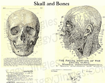 Skull and Bones vintage Collage Sheet Téléchargement numérique pour l’artisanat et la décoration d’Halloween dans les tons sépia