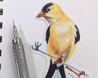 Watercolor Goldfinch Sticker