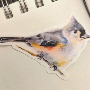 Watercolor Tufted Titmouse Sticker