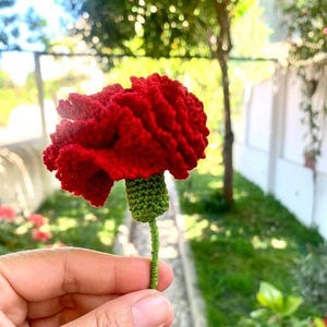 May include: A crocheted red carnation flower with a green stem. The flower is held in a hand against a blurred background of green foliage.