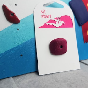 Fuchsia Climbing Hold Pin