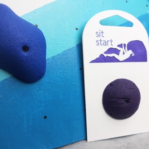 Purple Climbing Hold Pin