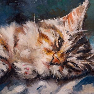 Tableau Le chat endormi 1/24