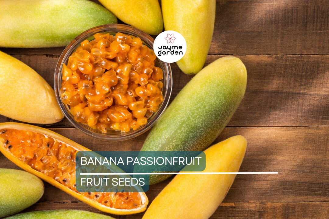 15 Graines De Fruit De La Passion Banane (Passiflora Mollissima) - Rare, Pour Jardin, Balcon - Graines Seulement
