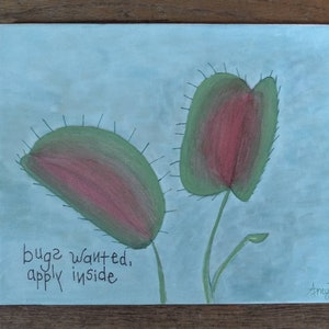 May include: A painting of two Venus flytraps with the text "bugs wanted, apply inside" on a light blue background.