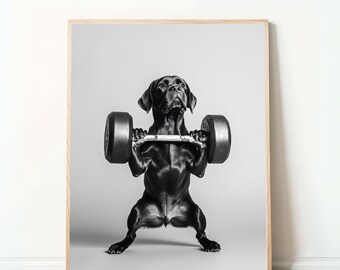 Rolig fitnessposter – ”Hund med skivstång”, humoristisk djurkonst, digital nedladdning, present till fitnessfans, väggdekoration för gym