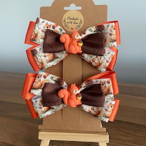Squirrel pigtail bows