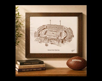 Broadview Stadium Art Print, Hand Drawn Football Stadium Illustration, Personalized Gift