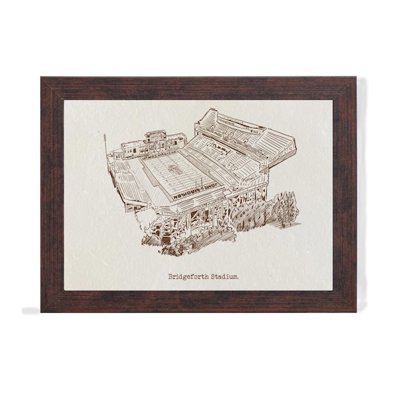 Matt Furie Spora & Spine 鉛筆画 2005年制作 Bridgeforth Stadium James Madison Art Print: Hand-drawn Pen & Ink