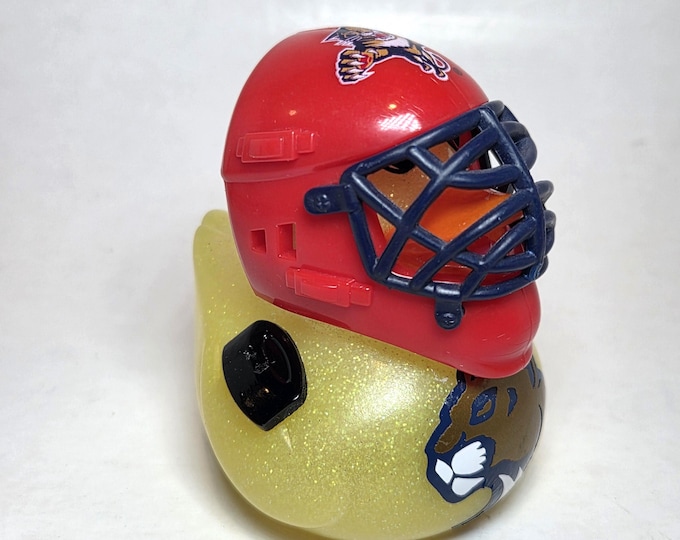 FLORIDA PANTHERS
