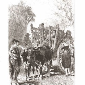 Pferd Karre Frauen Ox Don Quijote / Cervantes [Ad Lalauze] Vintage Viktorianische Ära echten 1890er Jahren Radierung Antik Art Print [Inv #DonQ 18