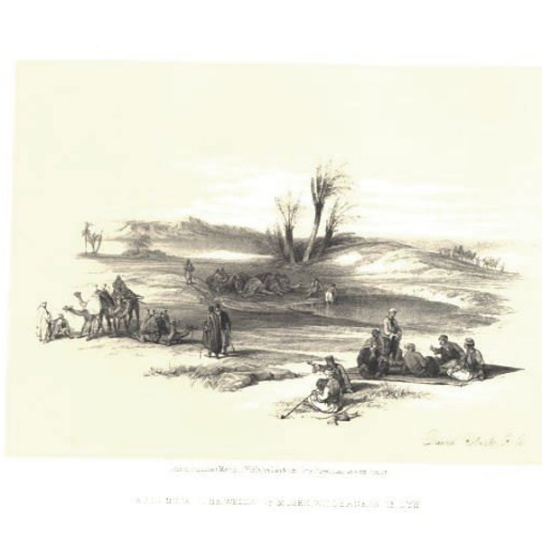 Well of MOSES AYUN MUSA ~ Israel Palestine David Roberts 1850s Holy Land Lithograph Vintage Antique Art Print  [Inv# drF121