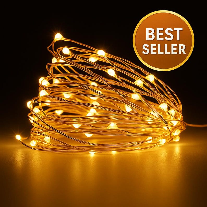 Battery Operated LED Fairy Lights: Copper Wire String Lights for Party ...