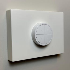 May include: A white wall-mounted smart home device with a round, white button that has four sections. Each section has a small, raised dot.