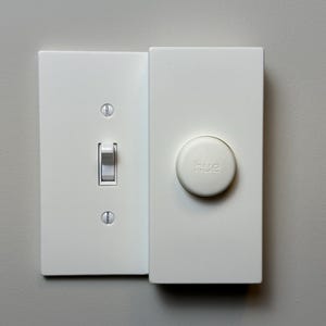 Philips Hue Smart Button 2-Gang Light Switch Wall Plate - Places Hue Tap Dial on top of 1/2 light switch