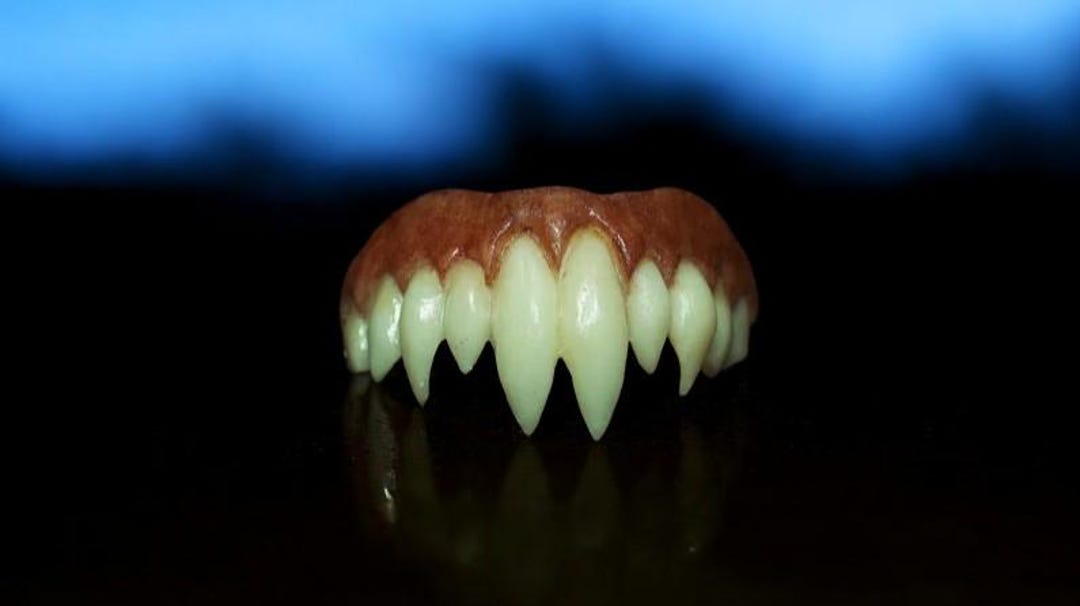 Valek Teeth Vampire Teeth Count Orlock Teeth nosferatu - Etsy