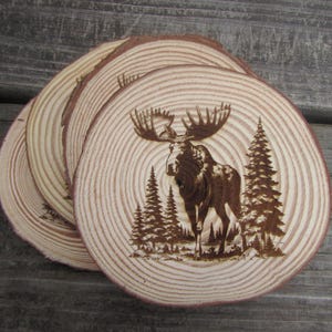 May include: Set of four wooden coasters featuring a laser-etched design of a moose standing in a forest. The coasters are made from natural wood and have a rustic look.