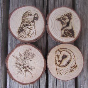 Set of 4 Engraved Wildlife Bird Refrigerator Magnets, Laser Cut Wood Fridge Decor, Nature Lover Gift, Rustic Kitchen Magnets