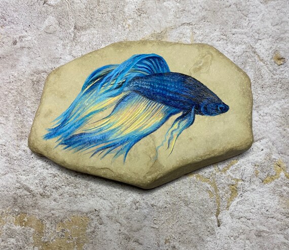 Blau Und Gelb Betta Fisch Gemalt Rock Geschenk Briefbeschwerer Etsy