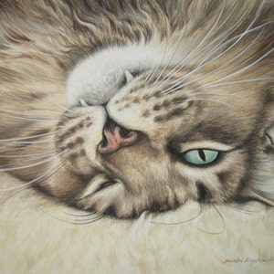 Op de afbeelding: Een close-up van een bruine tabbykat met groene ogen, liggend op zijn rug met zijn poten in de lucht. De vacht van de kat is zacht en pluche, en zijn snorharen zijn lang en wit.
