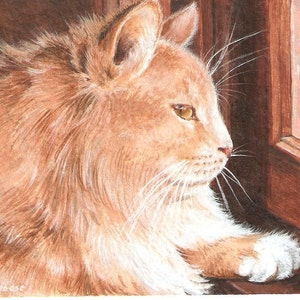 Op de afbeelding: Een aquarel van een gemberkat die uit een raam kijkt. De kat heeft witte poten en een witte vlek op zijn borst. Het raam is van hout en heeft een matglas.