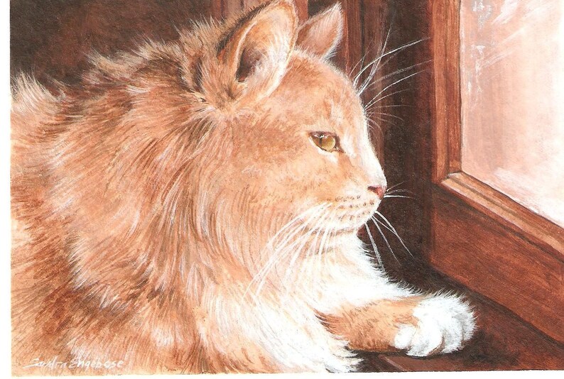 Op de afbeelding: Een aquarel van een gemberkat die uit een raam kijkt. De kat heeft witte poten en een witte vlek op zijn borst. Het raam is van hout en heeft een matglas.