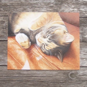 Op de afbeelding: Een close-up van een tabbykat die slaapt op een bruin lederen oppervlak. De ogen van de kat zijn gesloten en zijn poten zijn onder zijn lichaam gevouwen. De vacht van de kat is een mix van bruin, wit en zwart.