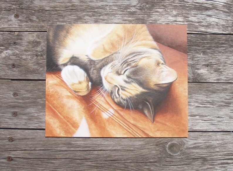 Op de afbeelding: Een close-up van een tabbykat die slaapt op een bruin lederen oppervlak. De ogen van de kat zijn gesloten en zijn poten zijn onder zijn lichaam gevouwen. De vacht van de kat is een mix van bruin, wit en zwart.