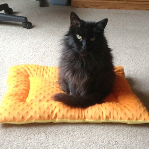 Cat Dog Beds Mats Sewing Pattern Tutorial PDF