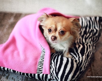 Cat Dog Peekaboo Beds Whimsy Couture Sewing Pattern Tutorial  PDF