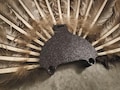 Turkey Fan Mount - Easy Display for Hunting Trophies