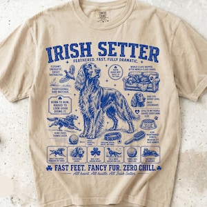 May include: An ivory short-sleeve t-shirt featuring a blue graphic print of an Irish Setter dog. The design includes text such as IRISH SETTER, FAST FEET. FANCY FUR. ZERO CHILL, and various illustrations of the dog, a ball, a brush, and a clover.